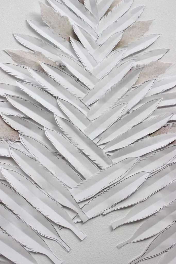 Close-up of feather tree